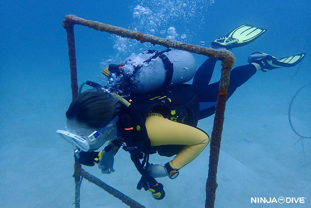 NINJA DIVE 忍者ダイブ 貸し切り プライベート チャーター ファンダイビング ボートダイビング グアム ダイビング ビギナー 初心者 少人数 ダイビングショップ ライセンス講習 オープンウォーター