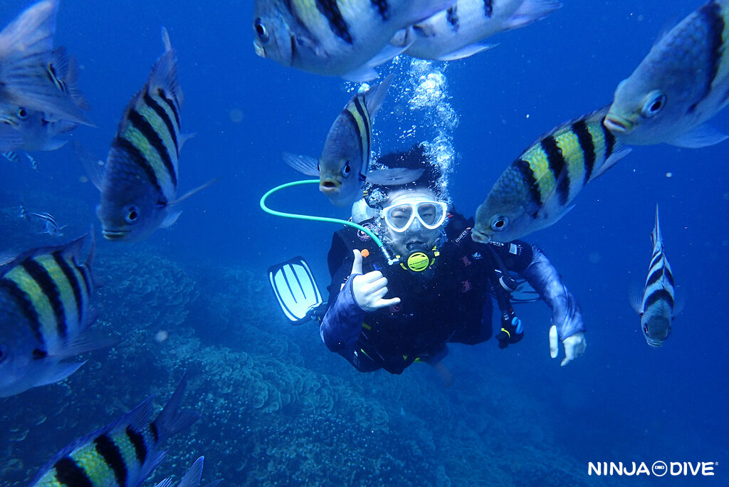 NINJA DIVE 忍者ダイブ 貸し切り プライベート ビーチダイビング グアム 体験ダイビング ビギナー 初心者 ダイビングショップ 水中展望台 お魚いっぱい ピティボムホール 1ビーチ1ボート 亀いっぱい ファンダイビング 同行