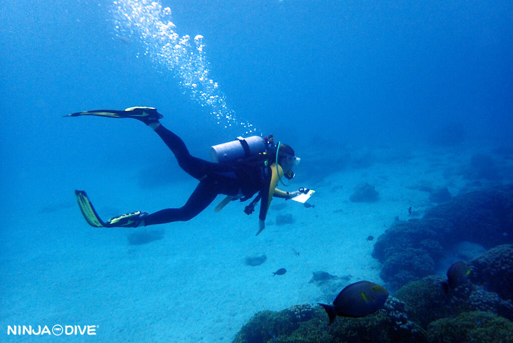 NINJA DIVE 忍者ダイブ 貸し切り プライベート チャーター ファンダイビング ボートダイビング グアム ダイビング ビギナー 初心者 少人数 ダイビングショップ ライセンス講習 オープンウォーター