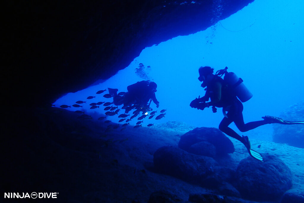 NINJA DIVE 忍者ダイブ 貸し切り プライベート チャーター ファンダイビング ボートダイビング グアム ダイビング ビギナー 初心者 少人数 バラクーダロック アメリカンタンカー マクロ撮影 リュウグウウミウシ