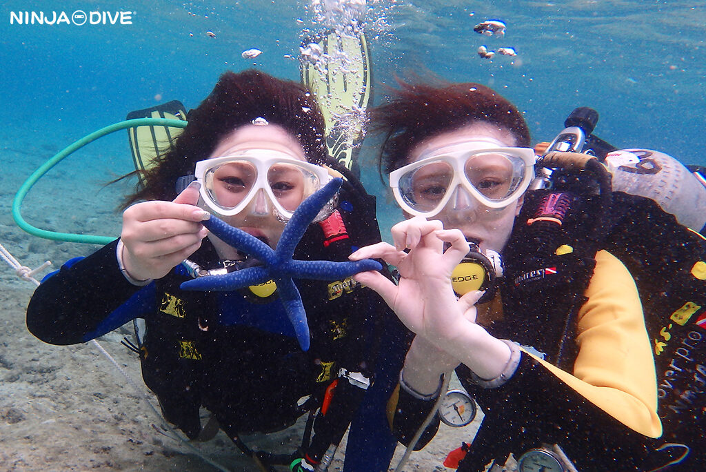 NINJA DIVE 忍者ダイブ 貸し切り プライベート ビーチダイビング グアム 体験ダイビング ビギナー 初心者 ダイビングショップ 水中展望台 お魚いっぱい 卒業旅行 女子旅 カップル ピティボムホール パラセーリング