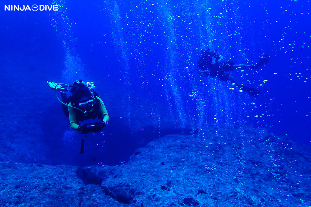 NINJA DIVE 忍者ダイブ 貸し切り プライベート チャーター ファンダイビング ボートダイビング グアム ダイビング ビギナー 初心者 少人数 フルーホール ハーレーリーフ マクロ撮影