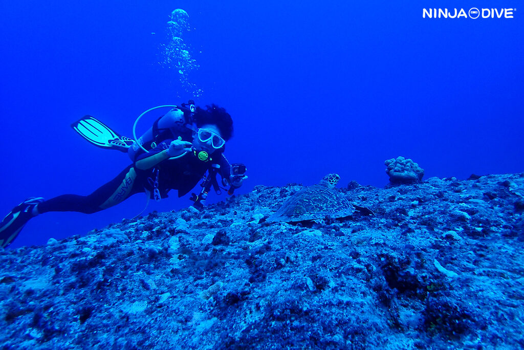 NINJA DIVE 忍者ダイブ 貸し切り プライベート チャーター ファンダイビング ボートダイビング グアム ダイビング ビギナー 初心者 少人数 ボウルダーアレー セメントバージ バルボンバー レック ダイビングショップ おひとりさま