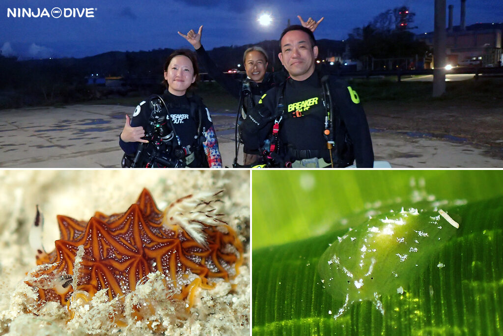 NINJA DIVE 忍者ダイブ 貸し切り プライベート ビーチダイビング グアム ファンダイビング ビギナー 初心者 ダイビングショップ 水中展望台 ウミウシ ピティボムホール マクロ ビーチダイビング ナイト ナイトダイビング