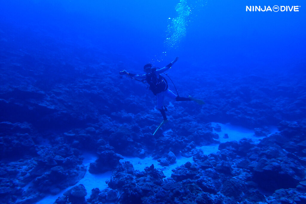 NINJA DIVE 忍者ダイブ 貸し切り プライベート チャーター ファンダイビング ボートダイビング グアム ダイビング ビギナー 初心者 少人数 ブルーアンドホワイト