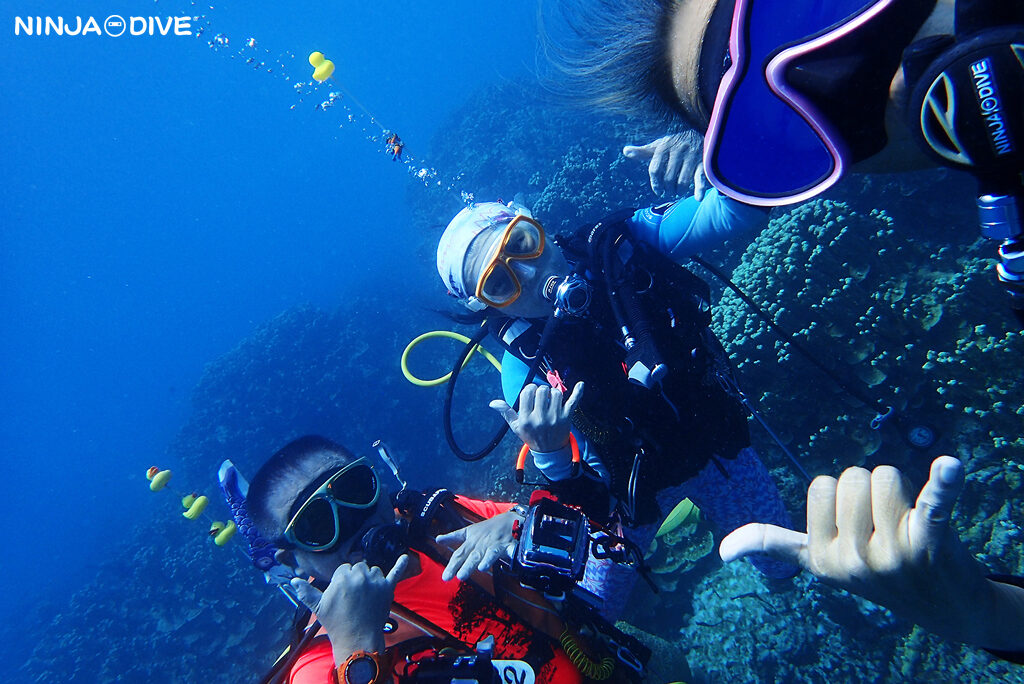 NINJA DIVE 忍者ダイブ 貸し切り プライベート チャーター ファンダイビング ボートダイビング グアム ダイビング ビギナー 初心者 少人数 ブルーアンドホワイト