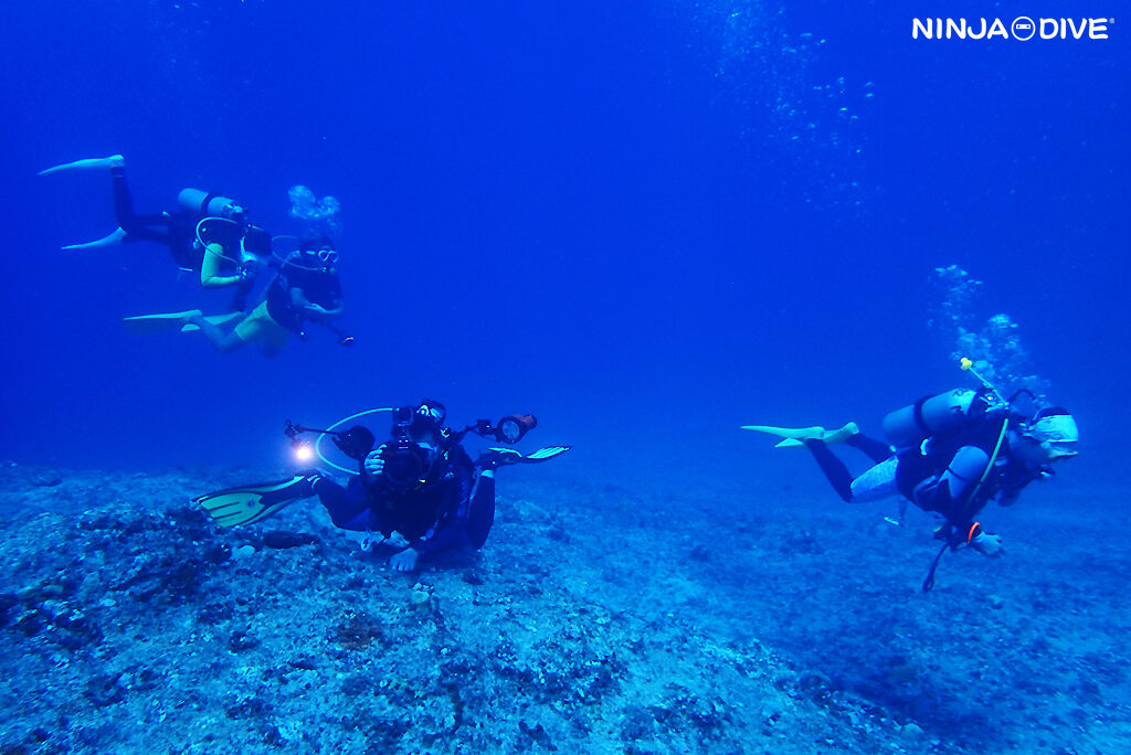 NINJA DIVE 忍者ダイブ 貸し切り プライベート チャーター ファンダイビング ボートダイビング グアム ダイビング ビギナー 初心者 少人数 ブルーホール アメリカンタンカー 沈船 レック