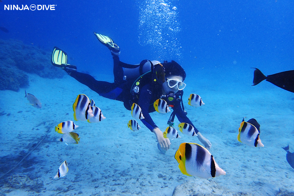 奇妙キテレツ グアムでのダイビングは NINJA DIVE 忍者ダイブ