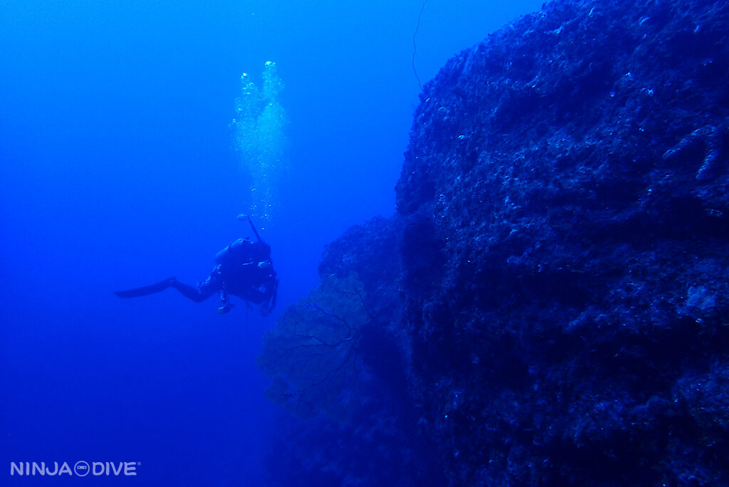 NINJA DIVE 忍者ダイブ 貸し切り プライベート チャーター ファンダイビング ボートダイビング グアム ダイビング ビギナー 初心者 少人数 クレバス オオイソバナ おひとりさま ギャブギャブ２