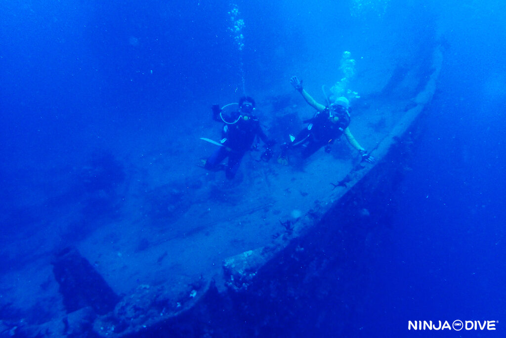 NINJA DIVE 忍者ダイブ 貸し切り プライベート チャーター ファンダイビング ボートダイビング グアム ダイビング ビギナー 初心者 少人数 アメリカンタンカー ブルーアンドホワイト ブランク ビギナー エレファントイヤー キカモヨウウミウシ ウミウシ