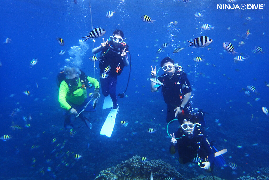 NINJA DIVE 忍者ダイブ 貸し切り プライベート チャーター ファンダイビング ボートダイビング ビーチダイビング シュノーケリング グアム ダイビング ビギナー 初心者 少人数 ブランク 貸し切り 家族旅行 キッズダイバー