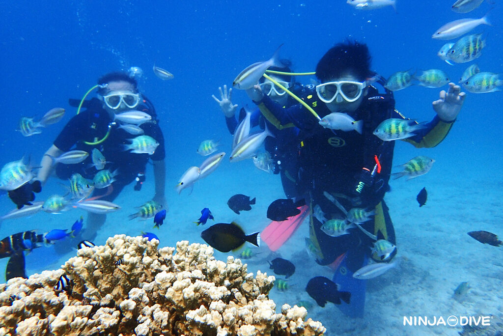 NINJA DIVE 忍者ダイブ 貸し切り プライベート ビーチダイビング グアム 体験ダイビング ビギナー 初心者 ダイビングショップ お魚いっぱい 親子 パラセーリング アウトハウスビーチ