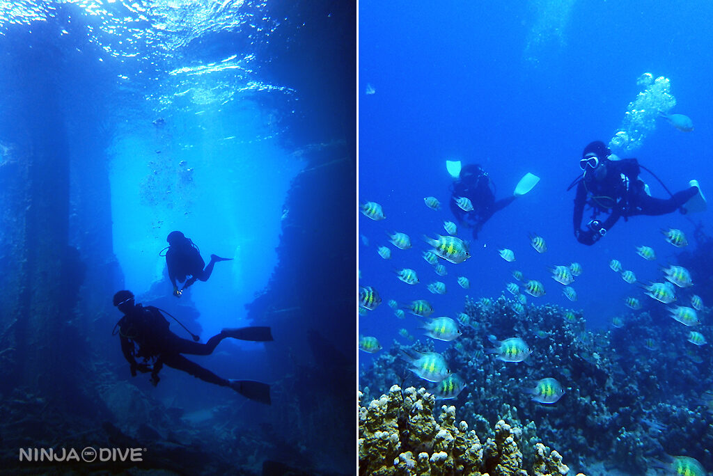 NINJA DIVE 忍者ダイブ 貸し切り プライベート チャーター ファンダイビング ボートダイビング ビーチダイビング シュノーケリング グアム ダイビング 初心者 少人数 ブランク ビギナー 記念ダイブ クレバス マダラエイ オオイソバナ 沈船 レック 沈飛行機 九十九式艦上爆撃機 ハーレーリーフ