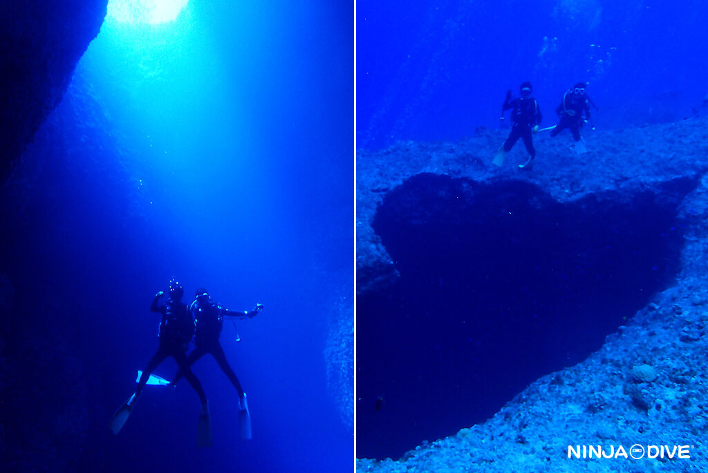 NINJA DIVE 忍者ダイブ 貸し切り プライベート チャーター ファンダイビング ボートダイビング ビーチダイビング シュノーケリング グアム ダイビング 初心者 少人数 ブランク ビギナー 記念ダイブ ブルーホール バラクーダロック ブラックチップシャーク サメ ツマグロ 洞窟