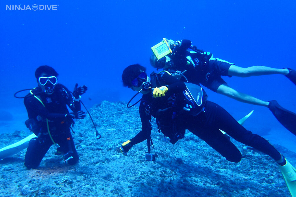 NINJA DIVE 忍者ダイブ 貸し切り プライベート チャーター ファンダイビング ボートダイビング ビーチダイビング シュノーケリング グアム ダイビング 初心者 少人数 ブランク ビギナー 記念ダイブ ブルーホール バラクーダロック ブラックチップシャーク サメ ツマグロ 洞窟