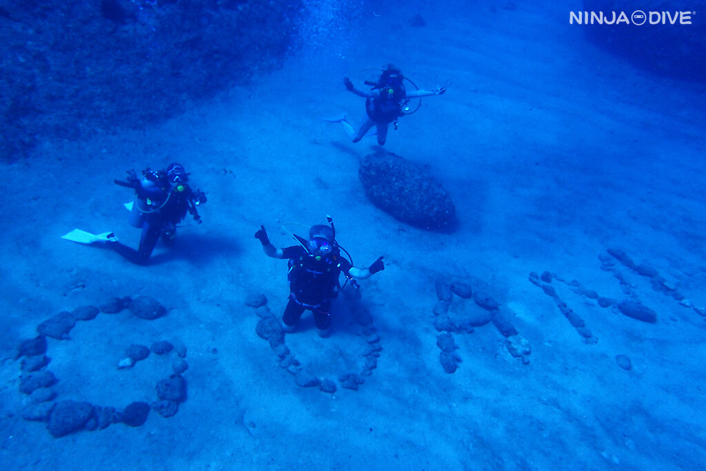 NINJA DIVE 忍者ダイブ 貸し切り プライベート チャーター ファンダイビング ボートダイビング ビーチダイビング シュノーケリング グアム ダイビング ビギナー 初心者 少人数 ブランク ビギナー おひとりさま サメ ブラックチップシャーク 大物 記念ダイブ バラクーダロック クマノミ ウェスタンショールズ シニア