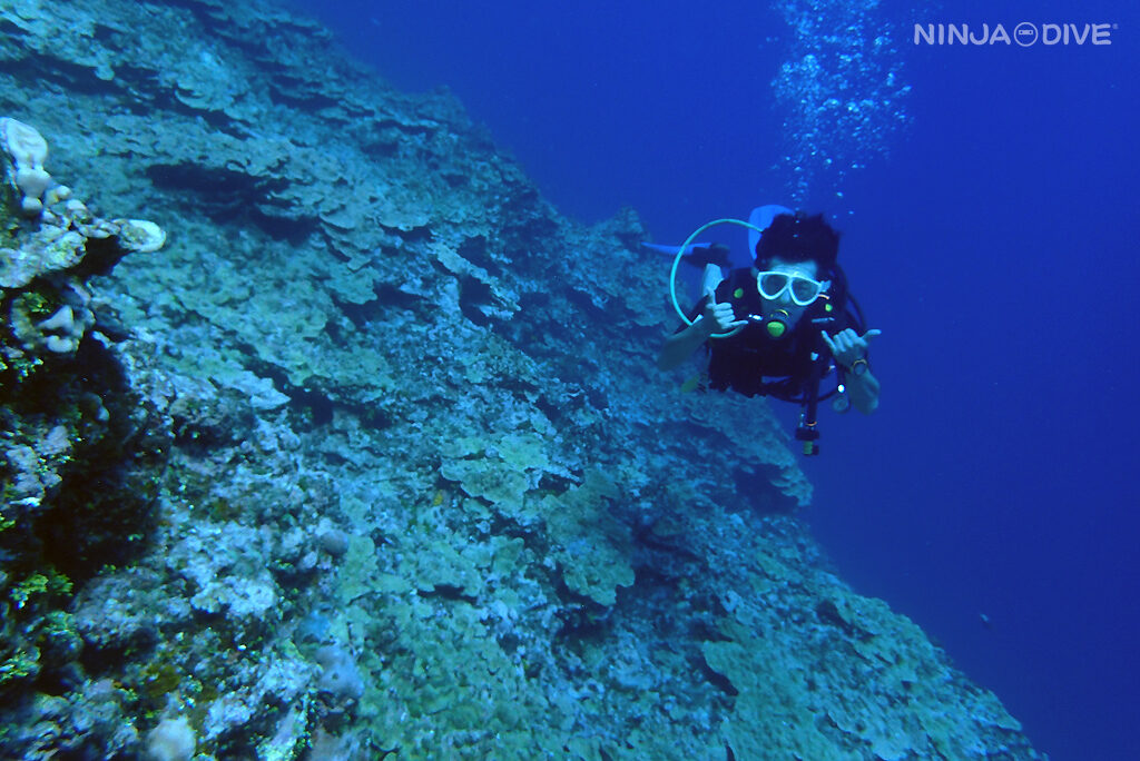 NINJA DIVE 忍者ダイブ 貸し切り プライベート チャーター ファンダイビング ボートダイビング ビーチダイビング シュノーケリング グアム ダイビング 初心者 少人数 ブランク ビギナー  沈船 ベッキーズリーフ シービージャンクヤード サンゴモドキ