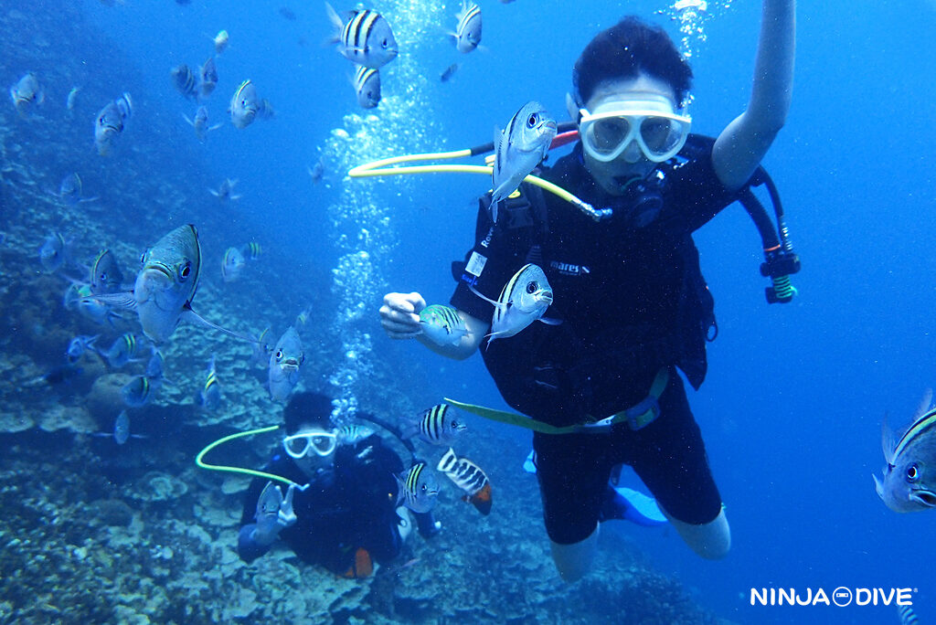NINJA DIVE 忍者ダイブ 貸し切り プライベート ビーチダイビング グアム 体験ダイビング ビギナー 初心者 ダイビングショップ お魚いっぱい カップル リフレッシュダイビング ブランク 体験ダイビング カップル