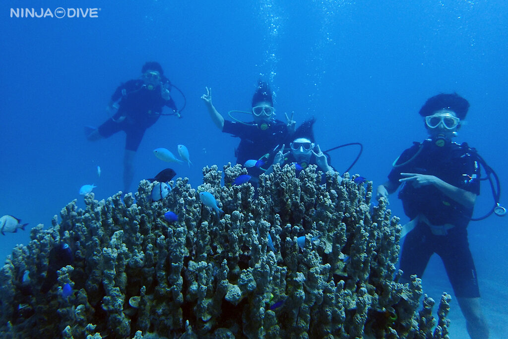 NINJA DIVE 忍者ダイブ 貸し切り プライベート チャーター ファンダイビング ボートダイビング ビーチダイビング シュノーケリング グアム ダイビング 初心者 少人数 ブランク ビギナー  沈船 レック シービージャンクヤード フィンガーリーフ