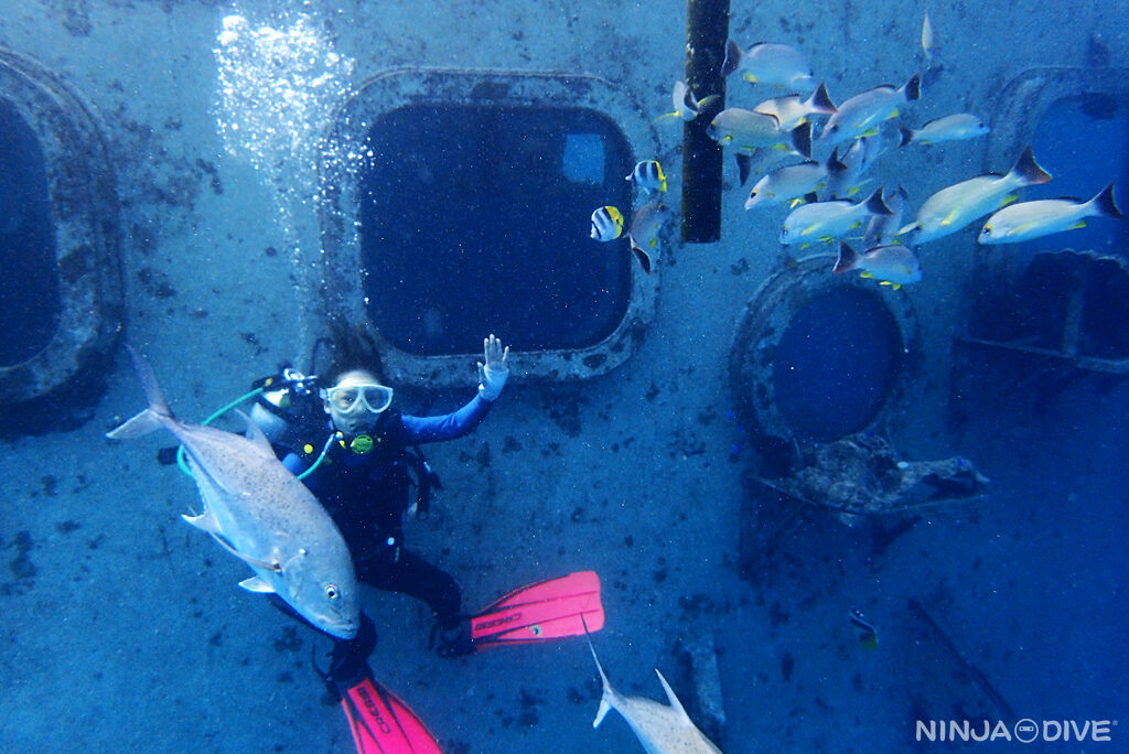 NINJA DIVE 忍者ダイブ 貸し切り プライベート ビーチダイビング グアム 体験ダイビング ビギナー 初心者 ダイビングショップ お魚いっぱい カップル リフレッシュダイビング ブランク 体験ダイビング 夏休み おひとりさま 女子旅