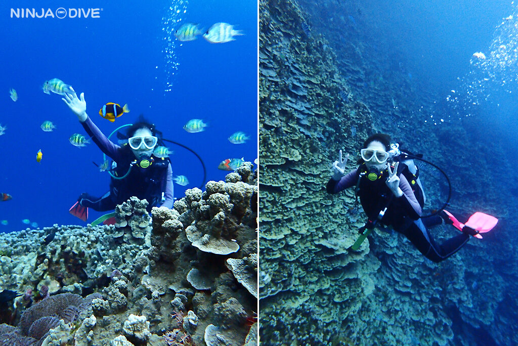 NINJA DIVE 忍者ダイブ 貸し切り プライベート チャーター ファンダイビング ボートダイビング ビーチダイビング シュノーケリング グアム ダイビング 初心者 少人数 ブランク ビギナー 沈船 レック アメリカンタンカー フィンガーリーフ
