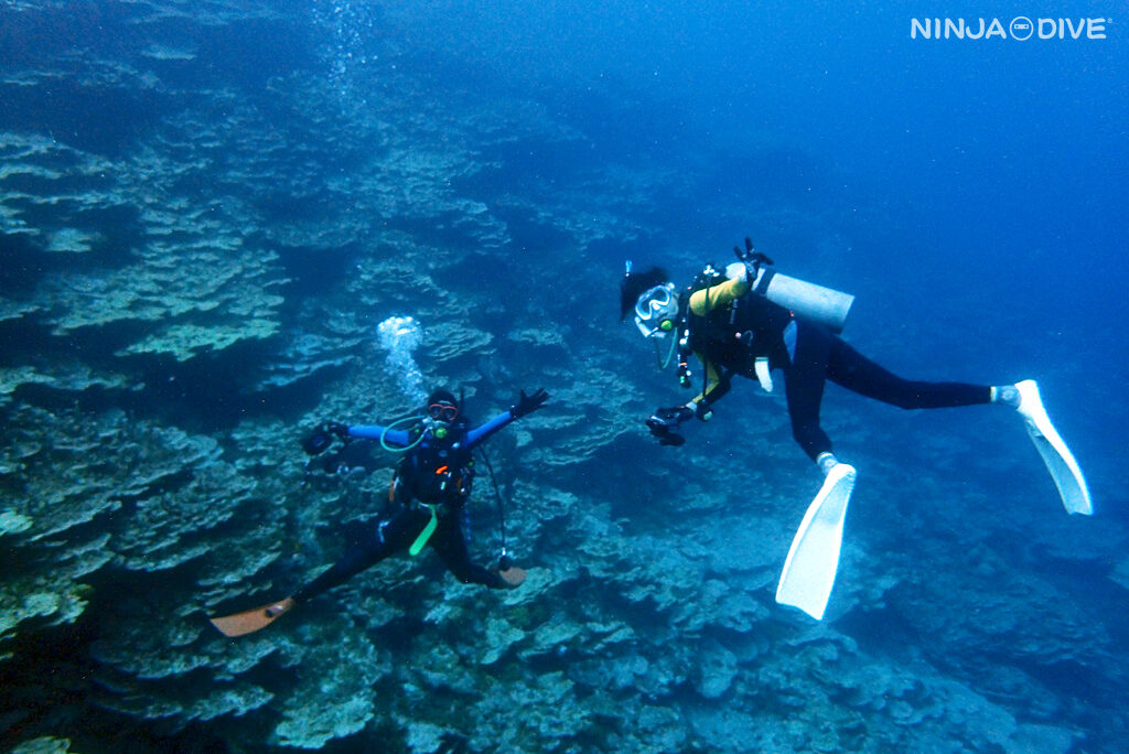 NINJA DIVE 忍者ダイブ 貸し切り プライベート チャーター ファンダイビング ボートダイビング ビーチダイビング シュノーケリング グアム ダイビング 初心者 少人数 ブランク ビギナー  沈船 レック アメリカンタンカー フィンガーリーフ マクロ ウミウシ