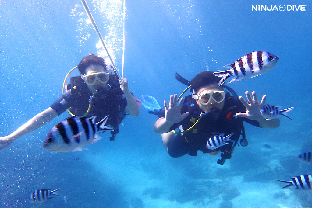 NINJA DIVE 忍者ダイブ 貸し切り プライベート ビーチダイビング グアム 体験ダイビング ビギナー 初心者 ダイビングショップ お魚いっぱい カップル リフレッシュダイビング ブランク 体験ダイビング パラセーリング カップル 新婚旅行