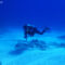 NINJA DIVE 忍者ダイブ 貸し切り プライベート チャーター ファンダイビング ボートダイビング ビーチダイビング シュノーケリング グアム ダイビング 初心者 少人数 ブランク ビギナー 沈船 レック アメリカンタンカー ブルーアンドホワイト