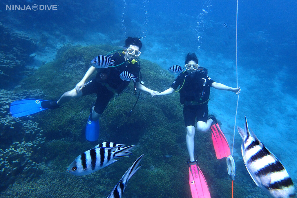NINJA DIVE 忍者ダイブ 貸し切り プライベート ビーチダイビング グアム 体験ダイビング ビギナー 初心者 ダイビングショップ お魚いっぱい カップル リフレッシュダイビング ブランク 体験ダイビング カップル 新婚旅行