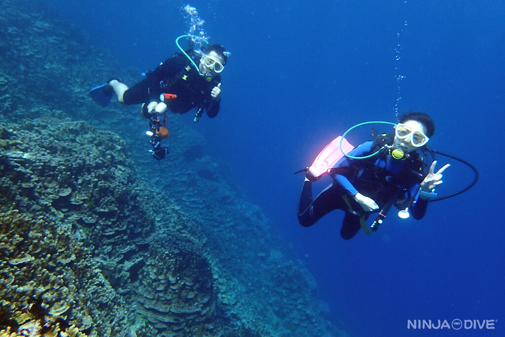 NINJA DIVE 忍者ダイブ 貸し切り プライベート チャーター ファンダイビング ボートダイビング ビーチダイビング シュノーケリング グアム ダイビング 初心者 少人数 ブランク ビギナー フィンガーリーフ カメ ウミガメ シービージャンクヤード