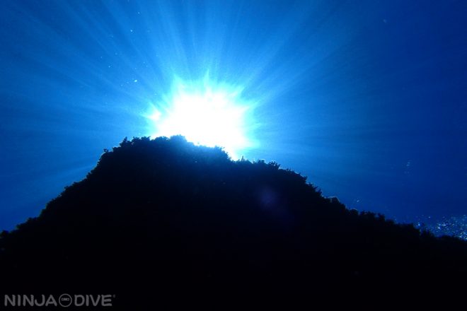 グアム ファンダイビング 幻想的