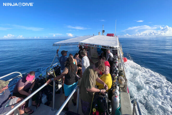 ビギナー 初心者 グアム ダイビング プライベート ファンダイビング ボートダイビング 少人数 貸し切り ダブルリーフ ホスピタルポイント グアム北部 クマノミ