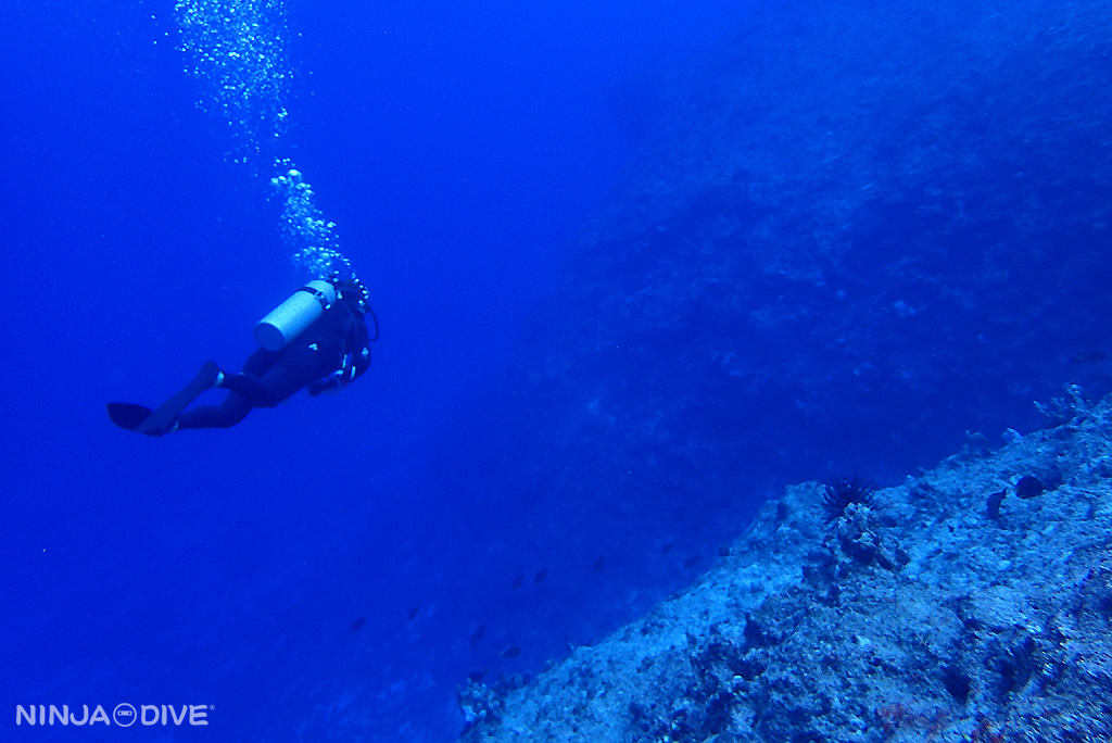 遠征！ロタ島ダイビング③ グアムでのダイビングは NINJA DIVE 忍者ダイブ