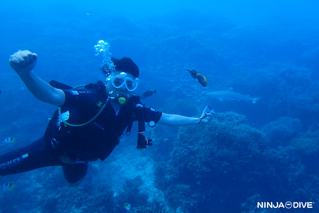 ダイタク ナマーシャ 生写真 20230102_01.jpg