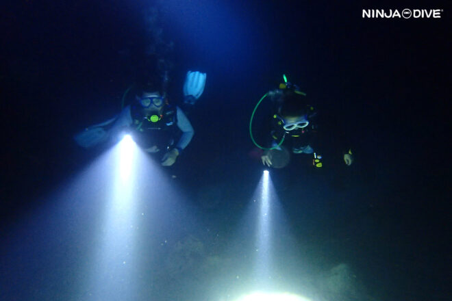 NINJA DIVE 忍者ダイブ グアム ナイトダイビング ダイビング ダイビングショップ ビーチダイビング ビギナー 少人数 初心者 ブランク リフレッシュ カップル 水中生物