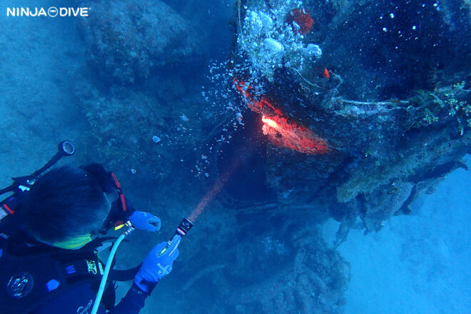 NINJA DIVE 忍者ダイブ 貸し切り プライベート チャーター ファンダイビング ボートダイビング グアム ダイビング ビギナー 初心者 少人数 シャークスピット バルボンバー 九十九式艦上爆撃機 ダイビングショップ レック 沈船