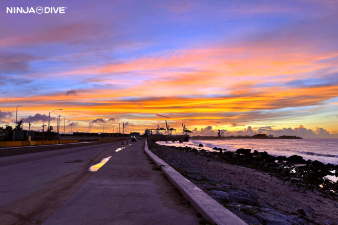 NINJA DIVE 忍者ダイブ 貸し切り プライベート チャーター ファンダイビング ダイビング ビギナー 初心者 少人数 ビーチダイビング ウミウシ ダイビングショップ ナイトダイビング クサイロモウミウシ ウチナミシラヒメウミウシ モンジャウミウシ シロタエミノウミウシSP