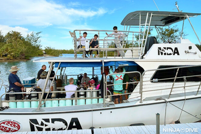NINJA DIVE 忍者ダイブ 貸し切り プライベート チャーター ファンダイビング ボートダイビング グアム ダイビング ビギナー 初心者 少人数 ブルーアンドホワイト アメリカンタンカー 沈船 レック ダイビングショップ ライセンス取り立て