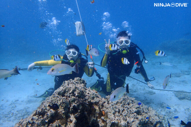 NINJA DIVE 忍者ダイブ 貸し切り プライベート ビーチダイビング グアム 体験ダイビング ビギナー 初心者 ダイビングショップ お魚いっぱい 親子 家族 新婚 おひとりさま