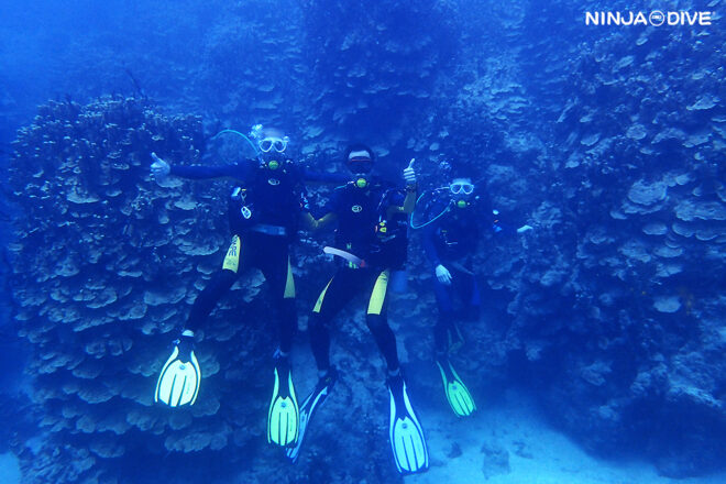 NINJA DIVE 忍者ダイブ 貸し切り プライベート チャーター ファンダイビング ボートダイビング グアム ダイビング ビギナー 初心者 少人数 ブルーホール ハーレーリーフ ダイビングショップ おひとりさま カップル 家族旅行 ビギナー