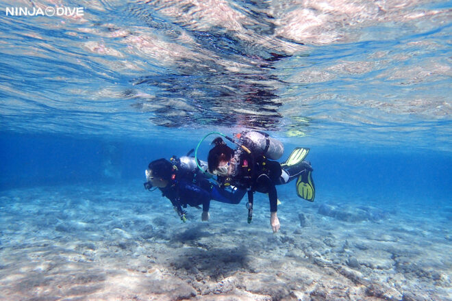 NINJA DIVE 忍者ダイブ 貸し切り プライベート ビーチダイビング グアム 体験ダイビング ビギナー 初心者 ダイビングショップ 水中展望台 お魚いっぱい カップル ピティボムホール パラセーリング