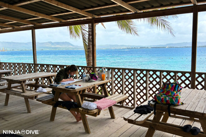 NINJA DIVE 忍者ダイブ 貸し切り プライベート チャーター ファンダイビング ボートダイビング グアム ダイビング ビギナー 初心者 少人数 ダイビングショップ ライセンス講習 オープンウォーター