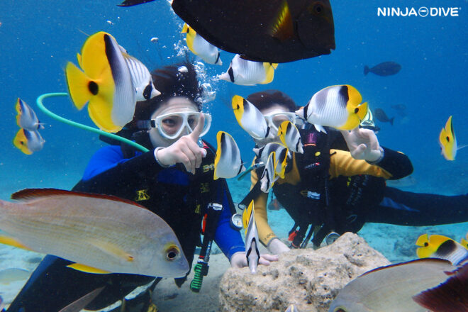 NINJA DIVE 忍者ダイブ 貸し切り プライベート ビーチダイビング グアム 体験ダイビング ビギナー 初心者 ダイビングショップ 水中展望台 お魚いっぱい 卒業旅行 女子旅 カップル ピティボムホール パラセーリング