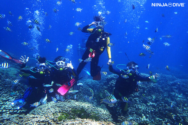 NINJA DIVE 忍者ダイブ 貸し切り プライベート ビーチダイビング グアム 体験ダイビング ビギナー 初心者 ダイビングショップ 水中展望台 お魚いっぱい 社員旅行 カップル ピティボムホール ボートダイビング 1ビーチ1ボート