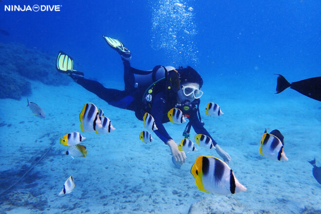 NINJA DIVE 忍者ダイブ 貸し切り プライベート ビーチダイビング グアム 体験ダイビング ビギナー 初心者 ダイビングショップ 水中展望台 お魚いっぱい 卒業旅行 女子旅 カップル ピティボムホール おひとりさま 未成年