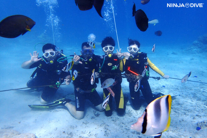 NINJA DIVE 忍者ダイブ 貸し切り プライベート ビーチダイビング グアム 体験ダイビング ビギナー 初心者 ダイビングショップ 水中展望台 お魚いっぱい 卒業旅行 女子旅 カップル ピティボムホール おひとりさま 未成年 家族