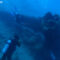 NINJA DIVE 忍者ダイブ 貸し切り プライベート チャーター ファンダイビング ボートダイビング ビーチダイビング シュノーケリング グアム ダイビング 初心者 少人数 ブランク ビギナー 記念ダイブ クレバス マダラエイ オオイソバナ 沈船 レック 沈飛行機 九十九式艦上爆撃機 ハーレーリーフ