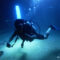NINJA DIVE 忍者ダイブ 貸し切り プライベート チャーター ファンダイビング ボートダイビング ビーチダイビング シュノーケリング グアム ダイビング 初心者 少人数 ブランク ビギナー 沈船 レック アメリカンタンカー ガンビーチ