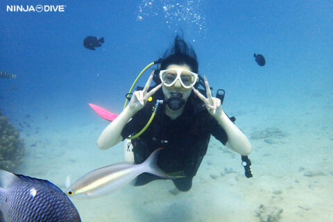NINJA DIVE 忍者ダイブ 貸し切り プライベート ビーチダイビング グアム 体験ダイビング ビギナー 初心者 ダイビングショップ お魚いっぱい カップル リフレッシュダイビング ブランク 体験ダイビング 親子 母娘 家族旅行 夏休み